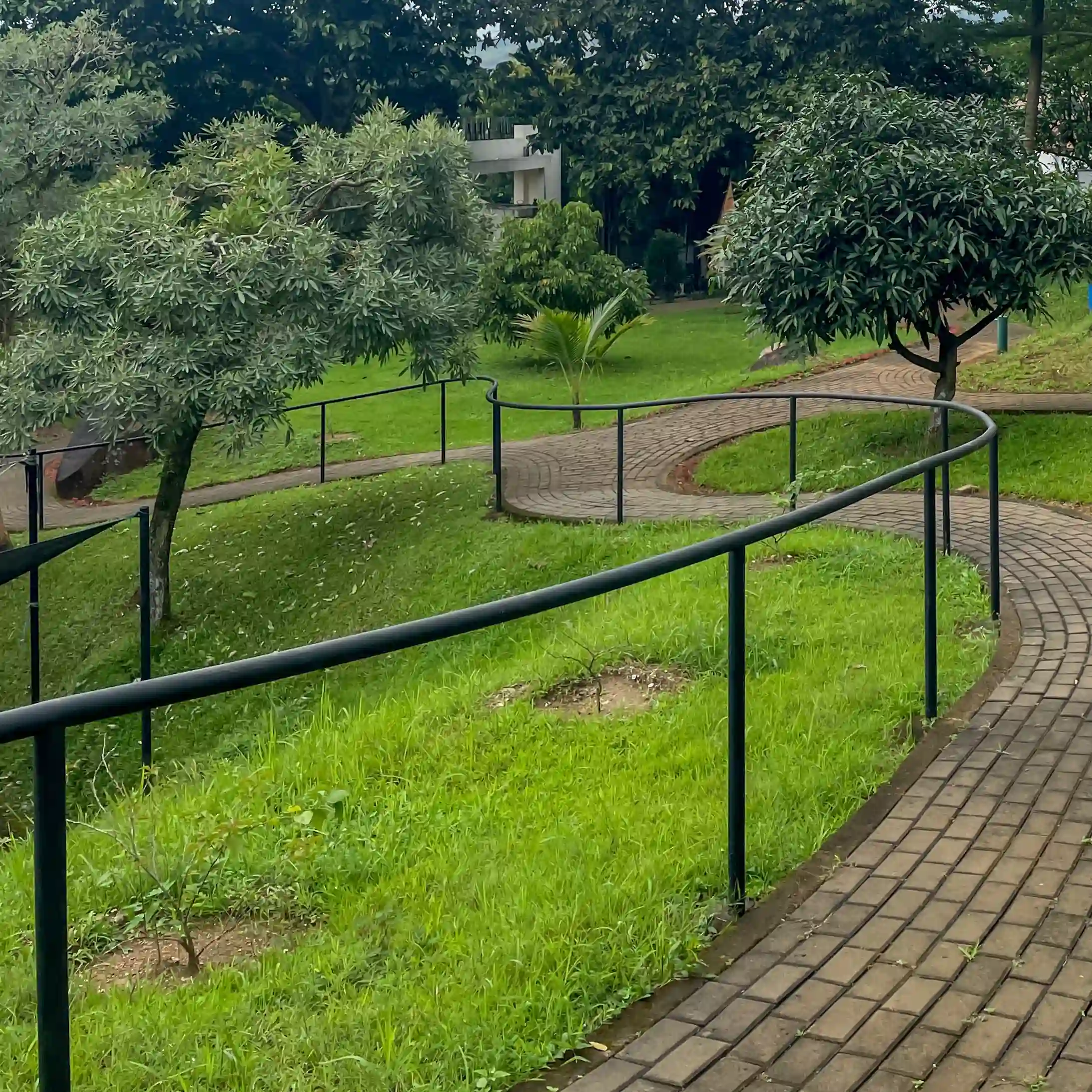 Green Garden